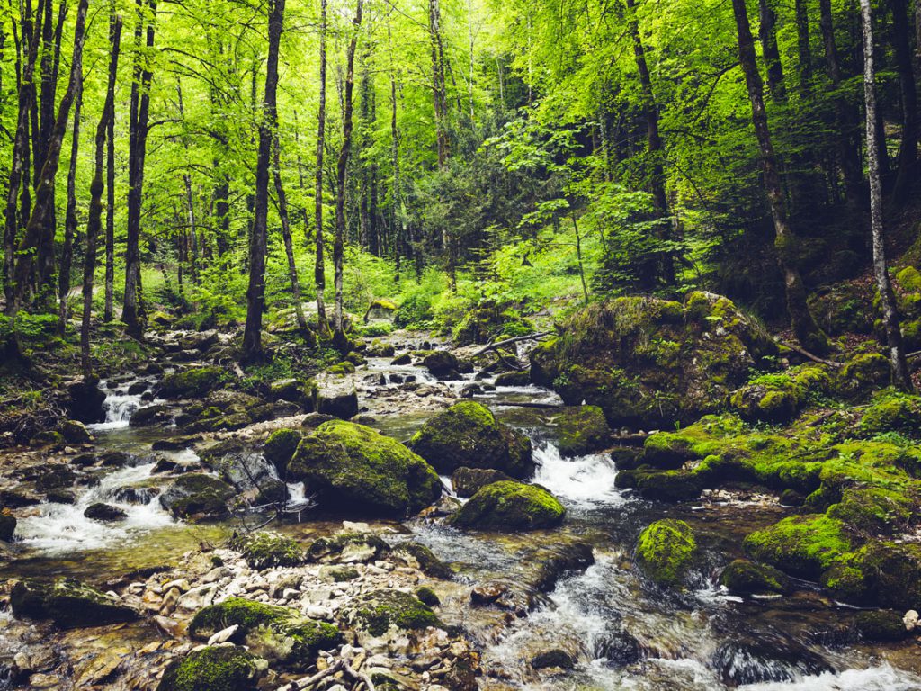 Équipements dédiés à la protection environnementale - MT RÉU